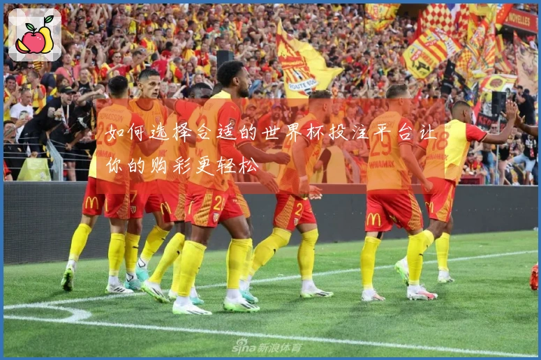 如何选择合适的世界杯投注平台让你的购彩更轻松
