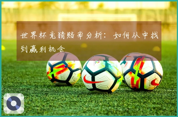 世界杯竞猜赔率分析：如何从中找到赢利机会