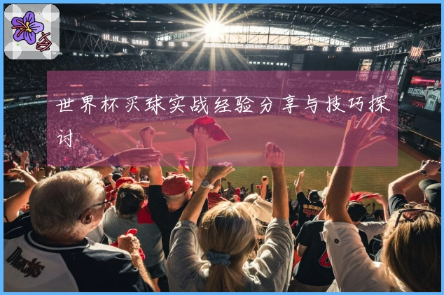 世界杯买球实战经验分享与技巧探讨