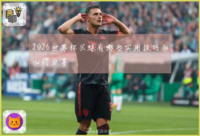 2026世界杯买球有哪些实用技巧和心得分享