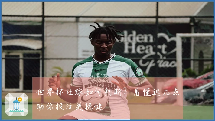 世界杯让球如何判断？看懂这几点助你投注更稳健