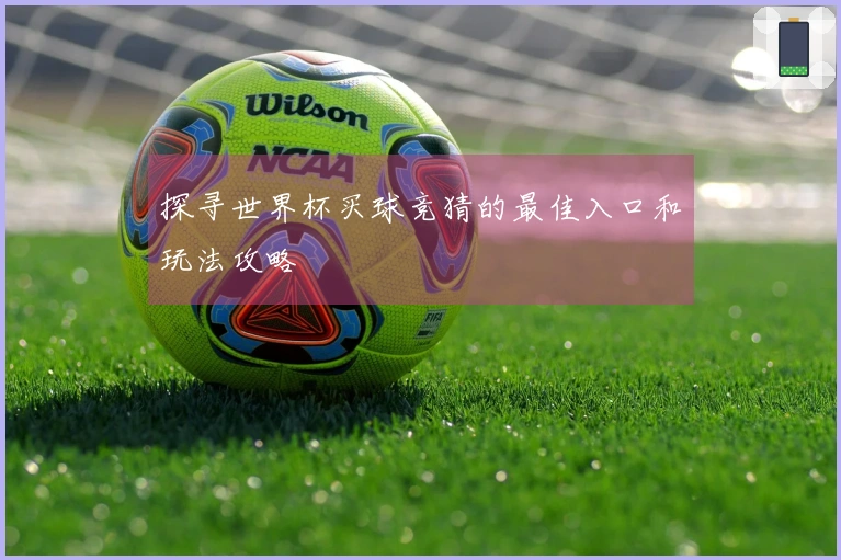 探寻世界杯买球竞猜的最佳入口和玩法攻略